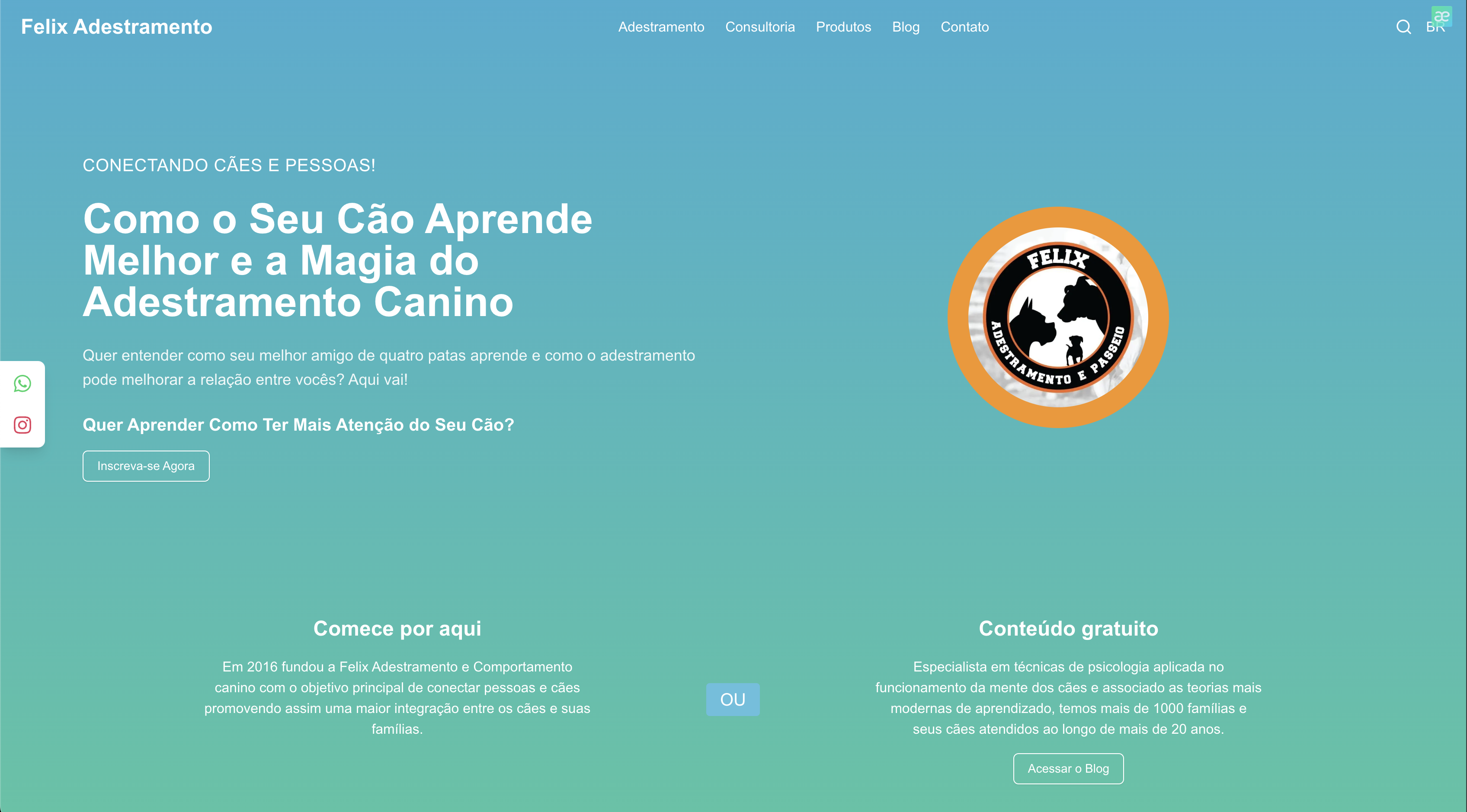 Felix Pet: Transformação digital para adestramento canino profissional